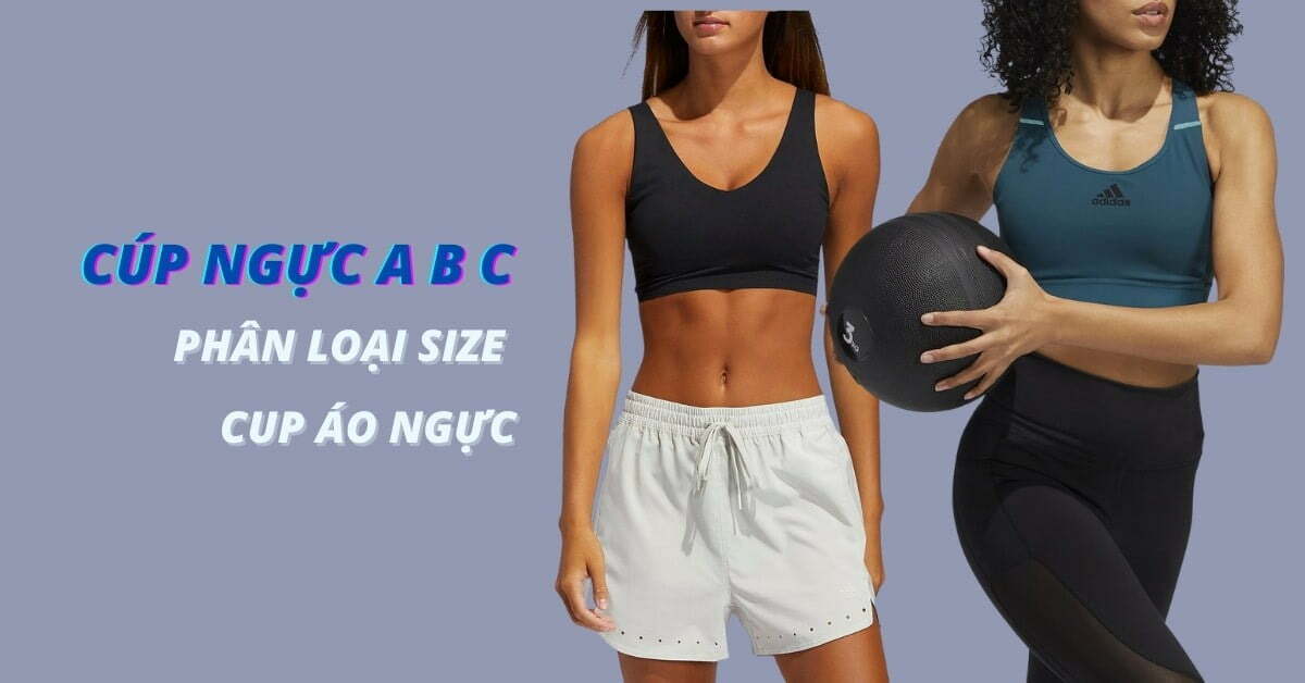 Giới thiệu về Bảng size áo lót, áo lót cup A B C